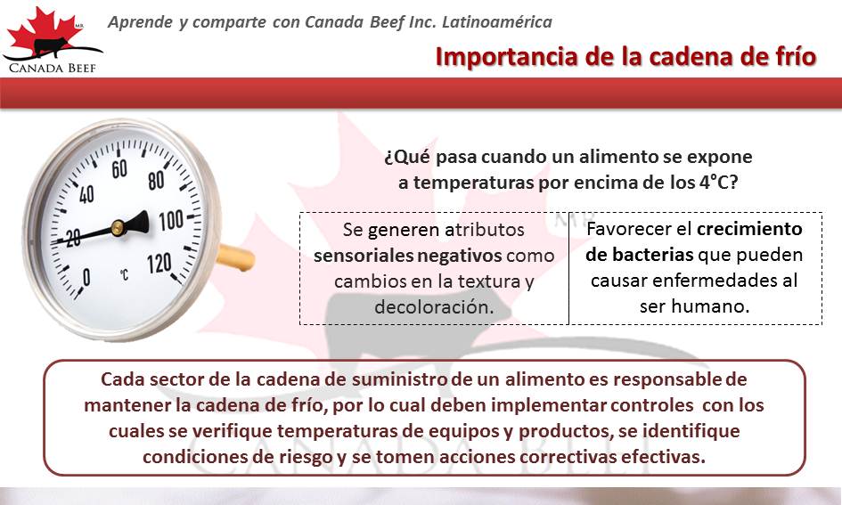 Importancia de mantener la cadena de frío Canadian Beef